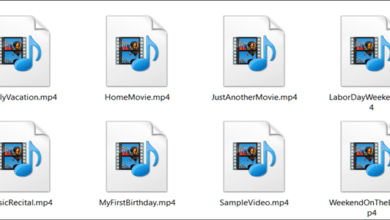 فایل MP4 چیست و چگونه آن را باز کنیم,فایل MP4 چیست, MP4 چیست, فرمت MP4, ,ویدئوی MP4, MP4 Player, باز کردن فایل MP4, پخش فایل MP4, پخش MP4, MP4 ویندوز, MP4 اندروید, MP4 مک, MP4 آیفون, روشتک, raveshtech