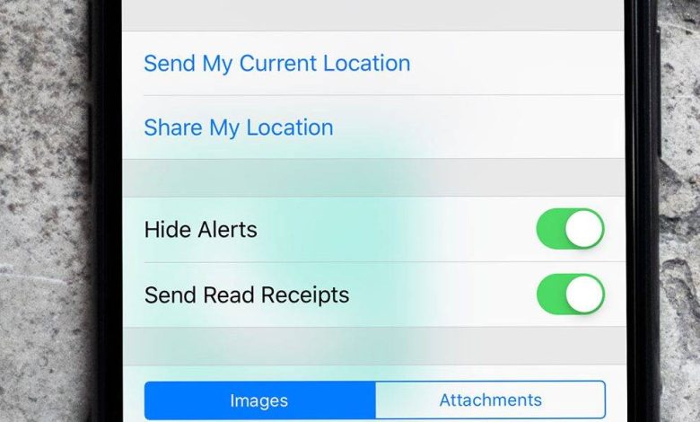 فعال کردن Hide Alerts در بخش Messages آیفون iOS 12, خاموش کردن اعلان ها در هنگام باز بودن پنجره گفتگو, روشتک, raveshtech, آیفون, iOS 12, فعال کردن Do Not Disturb در بخش پیام های آیفون, آیفون Hide Alerts, آموزش فناوری