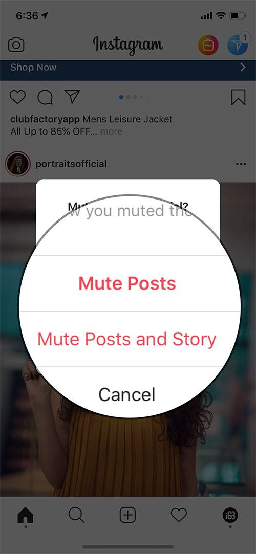 پنجره ای با 3 گزینه Mute Posts، Mute Posts and Story و Cancel در آیفون یا آیپد شما نمایان می شود. شما می توانید یکی از گزینه را بتپید. حتی اگر Mute Posts یا Mute Posts and Story را برگزینید