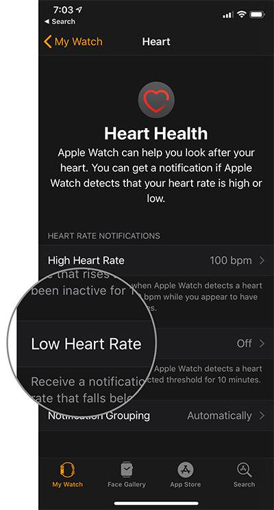 فعال کردن نوتیفیکیشن ضربان قلب پائین در اپل واچ, اعلان ضربان قلب پائین در اپل واچ, اپل واچ ضربان قلب پائین, روشتک,raveshtech, اپل واچ, watchOS 5, ضربان قلب, Low Heart Rate