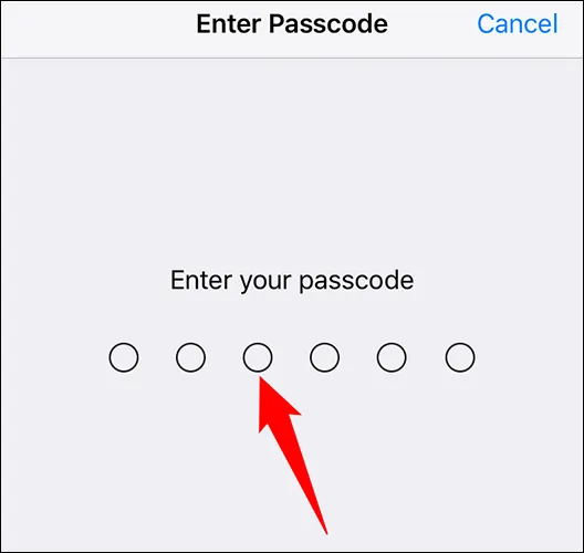 بخش Enter Passcode در آیفون و آیپد